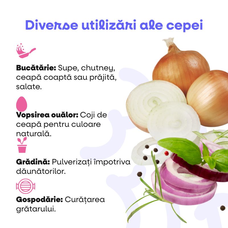 (Rumunština) Aktivní uhlí Hl… (1)